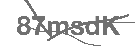 CAPTCHA Image