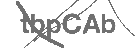 CAPTCHA Image