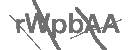 CAPTCHA Image