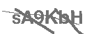 CAPTCHA Image