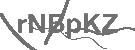 CAPTCHA Image
