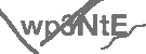 CAPTCHA Image
