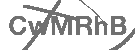 CAPTCHA Image