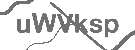 CAPTCHA Image