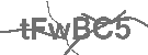 CAPTCHA Image