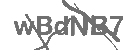 CAPTCHA Image