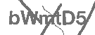CAPTCHA Image