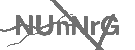 CAPTCHA Image