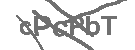 CAPTCHA Image