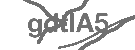 CAPTCHA Image