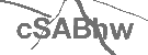 CAPTCHA Image