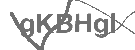 CAPTCHA Image