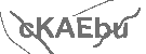 CAPTCHA Image