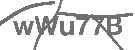 CAPTCHA Image