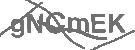 CAPTCHA Image
