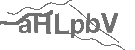 CAPTCHA Image