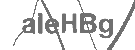 CAPTCHA Image