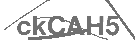CAPTCHA Image